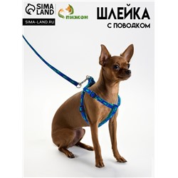Комплект  "Большая лапа", ширина 1 см, поводок  120 см, шлейка 25-36 см, сине-зелёный