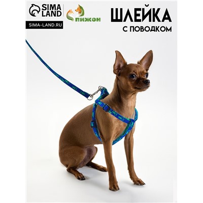Комплект  "Большая лапа", ширина 1 см, поводок  120 см, шлейка 25-36 см, сине-зелёный