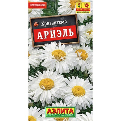 1652 Хризантема Ариэль 0,1гр