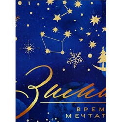 Ланч - бокс новогодний «Зима время мечтать», 700 мл