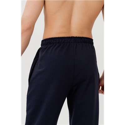 Брюки мужские 21-343M3-WB т.синий1