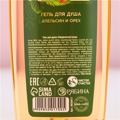 Гель для душа «Чудес в Новом Году!», 250 мл, аромат апельсина и орехов, Чистое счастье