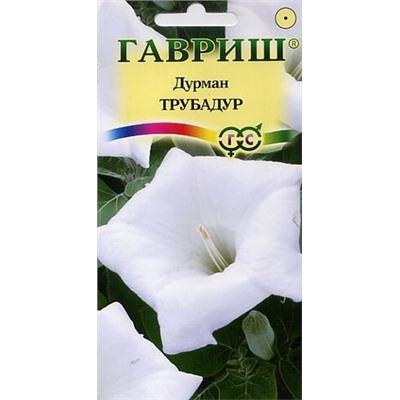 Дурман Трубадур (Датура)