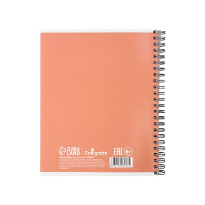 Тетрадь 96л кл на гребне Apricot, обл мел карт, блок офсет МИКС