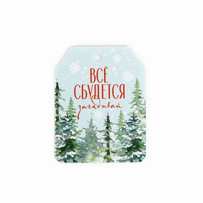 Шильдик новогодний на подарок «Верь в чудеса», набор 6 штук, 16 х 24 см