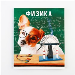 Тетрадь в клетку, предметная, 48 л.,на скрепке, А5 «МИЛЫЕ ПИТОМЦЫ. Физика»