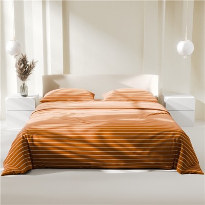 Постельное бельё Этель Евро Mustard stripes 200х217см, 220х240см, 70х70см-2 шт, 100% хлопок,поплин