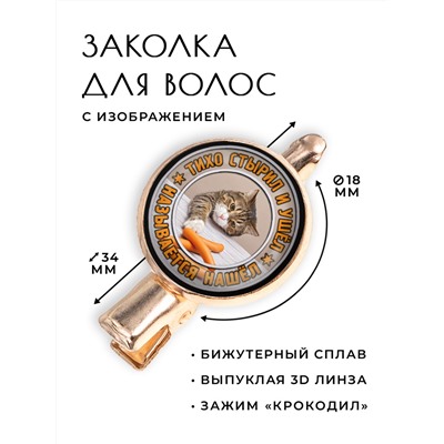 HZF-0353 Заколка Тихо стырил и ушёл
