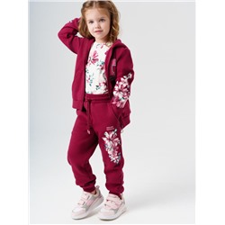 Комплект для девочки: толстовка, брюки
