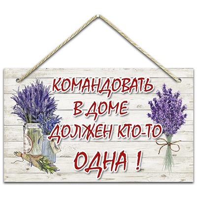 Табличка 15х25 Командовать КД-28.06