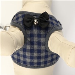 Комплект амуниции с мягкой шлейкой, XL, поводок 120×1.5 см, ОШ 38-52 см, ОГ 42-60 см, серый 7119