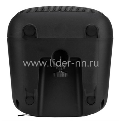 Колонка 08" (30-79 DANCE BOX 550) динамик 1шт/8" ELTRONIC с TWS