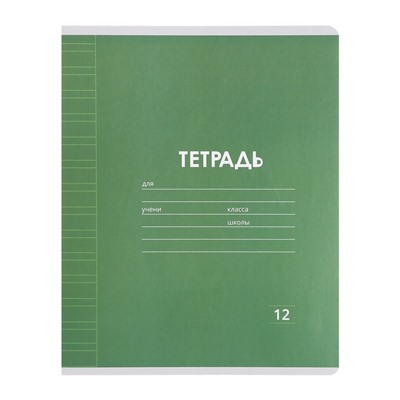 Набор тетрадей 12 листов в узкую линейку Calligrata «Однотонная Классика», обложка мелованная бумага, серые листы