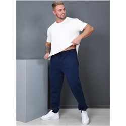 Брюки Спринтер индиго ИвК