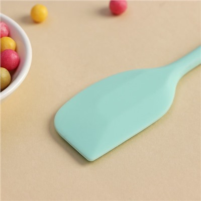 Лопатка Доляна «Винфор», 20.5×3.8 см, мятная