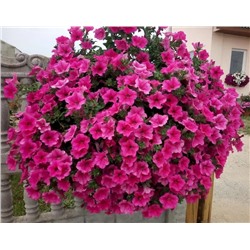 Набор супертуний №2