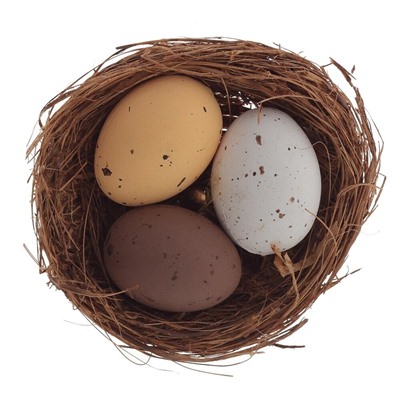 GAEM Изделие декоративное (вставка) "Гнездо пасхальное" (5*2), L5 W5 H22 см