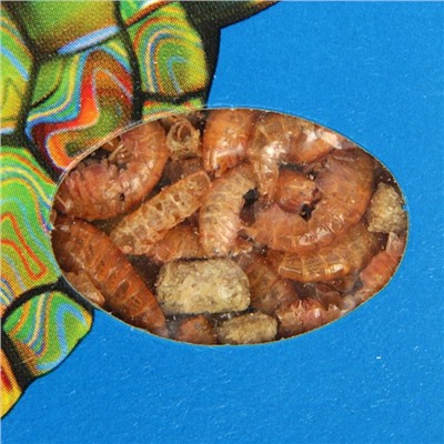 Корм ЗООМИР «Торти» для черепах, коробка, 15 г