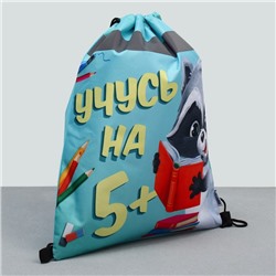 Мешок для обуви со светоотражающим элементом «Учусь на 5!» размер 41×34 см