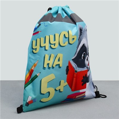 Мешок для обуви со светоотражающим элементом «Учусь на 5!» размер 41×34 см