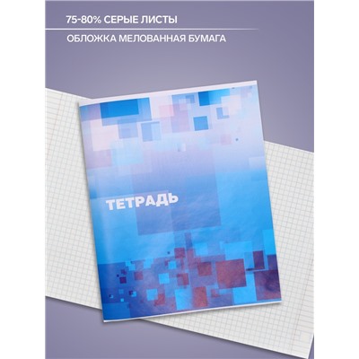 Тетрадь 48 листов в клетку Calligrata «Графика», обложка мелованная бумага, серые листы, МИКС