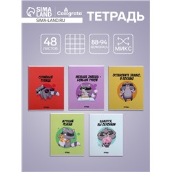 Тетрадь 48 листов в клетку Calligrata «Дерзкий енот», обложка мелованный картон, МИКС