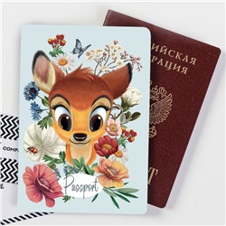 Паспортная обложка, Disney