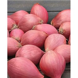 Лук семейный (шалот) Челябинский розовый, арт.: 4534