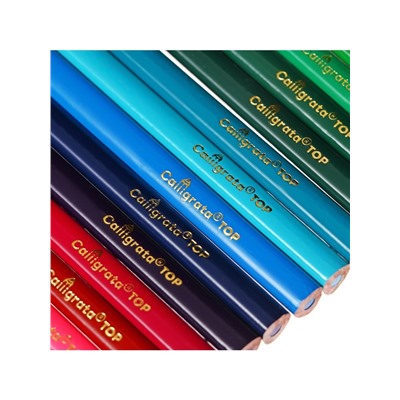 Карандаши цветные 24 цвета TOP Calligrata, супермягкие, в картонной коробке, диаметр грифеля 3 мм, 5B
