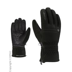 Skihandschuhe
