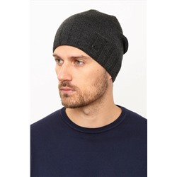 Шапка Мужская Топ231 Т