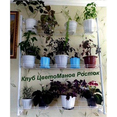 Стеллаж КЕДР настенный, ширина 104 см