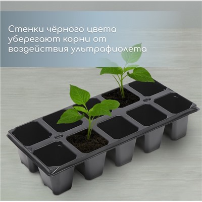 Кассета для рассады, 10 ячеек по 100 мл, набор 5 шт., чёрная