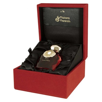 Tiziana Terenzi Tuttle Comete Unisex extrait 100 ml (подарочная упаковка)