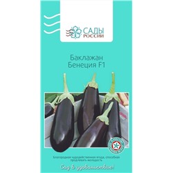 Семена Баклажан Бенеция F1, арт.: 3756