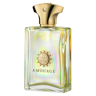 Amouage Fate For Men 100 ml