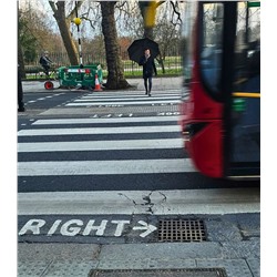 S837-01 Black (Черный) Зонт мужской гольфер Fulton