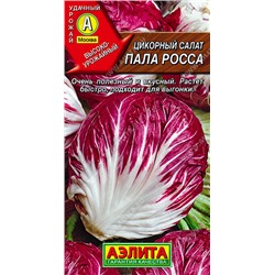 0985 Цикорный салат Пала Росса 0,5гр