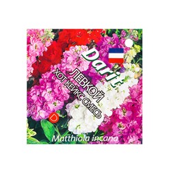 Семена цветов Левкой маттиола "Хот Кейкс" смесь, О, 15 шт