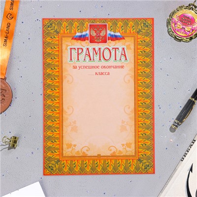 Папка «Портфолио старшеклассника», 8 грамот, А4