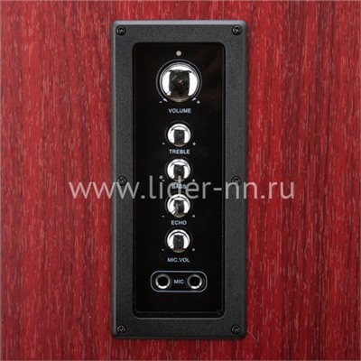 Колонка 10" (30-32 HOME SOUND) динамик 6шт/2х10"; 2х4"; 2х1.5" комплект 2 колонки ELTRONIC (красная)
