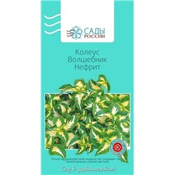 Колеус Волшебник Нефрит , арт.: 3473