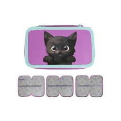 Пенал 3 секции, 125×205×55 мм, Calligrata 30П26/3 «Кот чёрный», ламинированный картон