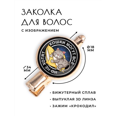 HZF-0115 Заколка Кошки могут всё