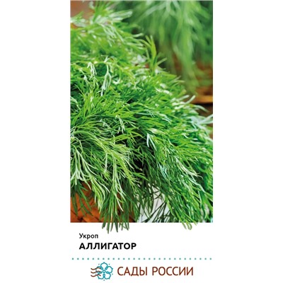 Семена Укроп Аллигатор, арт.: 74374