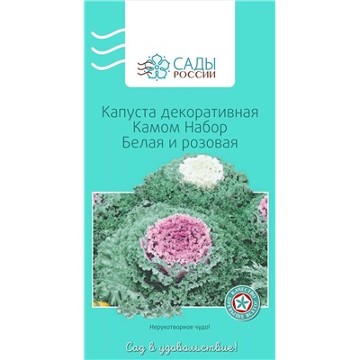 Капуста декоративная Камом Белая и розовая , арт.: 25054