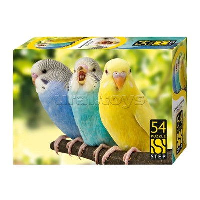 Пазлы 54 "Домашние питомцы"