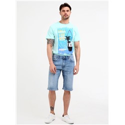 Шорты мужские арт. 0889