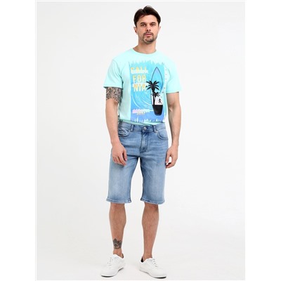 Шорты мужские арт. 0889