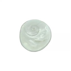 Гомати Чакра, Shell White Very Rare Big Size Gomati Chakra, For Pooja, произв. Yash Vriddhi